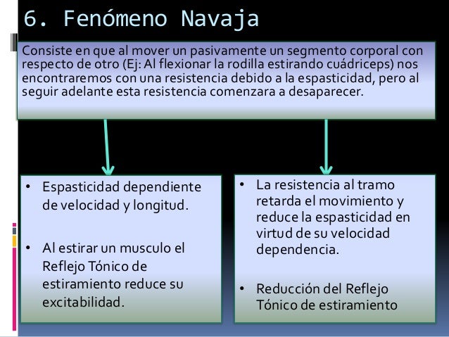 Fisopatología de la espasticidad
