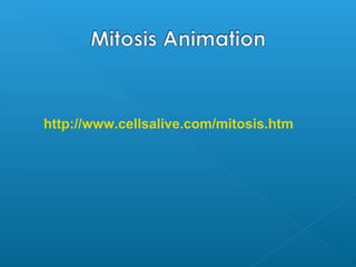 http://www.cellsalive.com/mitosis.htm
 