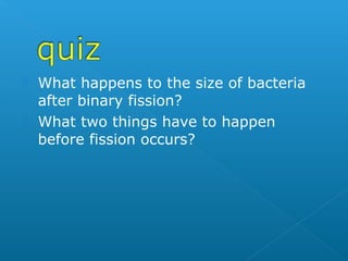  What happens to the size of bacteria
  after binary fission?
 What two things have to happen
  before fission occurs?
 