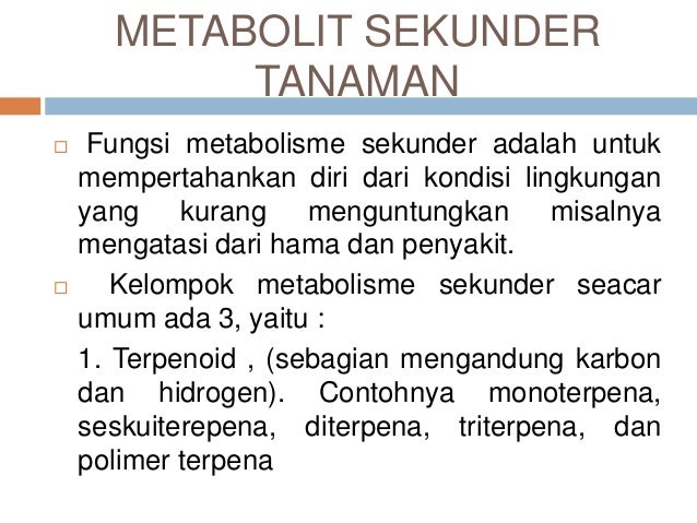 Fistan Materi 1 Metabolit Primer Dan Sekunder