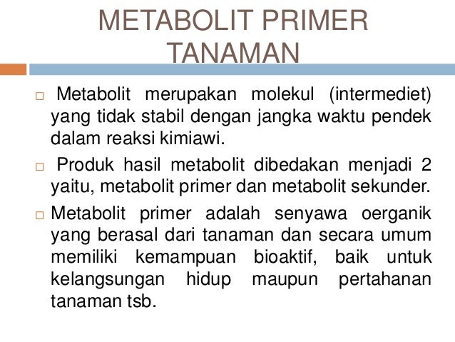 Sebutkan Dan Jelaskan Jenis Jenis Web - Sebutkan Mendetail