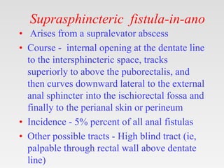 Suprasphincteric fistula-in-ano
• Arises from a supralevator abscess
• Course - internal opening at the dentate line
to the intersphincteric space, tracks
superiorly to above the puborectalis, and
then curves downward lateral to the external
anal sphincter into the ischiorectal fossa and
finally to the perianal skin or perineum
• Incidence - 5% percent of all anal fistulas
• Other possible tracts - High blind tract (ie,
palpable through rectal wall above dentate
line)
 