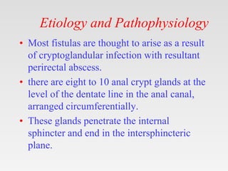 Etiology and Pathophysiology
• Most fistulas are thought to arise as a result
of cryptoglandular infection with resultant
perirectal abscess.
• there are eight to 10 anal crypt glands at the
level of the dentate line in the anal canal,
arranged circumferentially.
• These glands penetrate the internal
sphincter and end in the intersphincteric
plane.
 