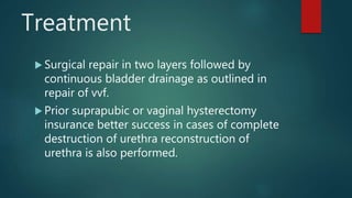 Treatment
 Surgical repair in two layers followed by
continuous bladder drainage as outlined in
repair of vvf.
 Prior suprapubic or vaginal hysterectomy
insurance better success in cases of complete
destruction of urethra reconstruction of
urethra is also performed.
 