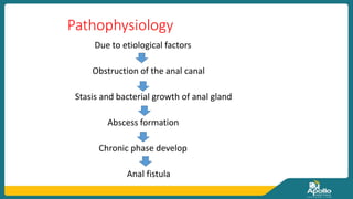 Pathophysiology
Due to etiological factors
Obstruction of the anal canal
Stasis and bacterial growth of anal gland
Abscess formation
Chronic phase develop
Anal fistula
 