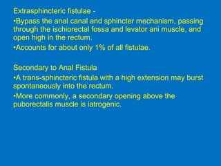 Extrasphincteric fistulae -
•Bypass the anal canal and sphincter mechanism, passing
through the ischiorectal fossa and levator ani muscle, and
open high in the rectum.
•Accounts for about only 1% of all fistulae.
Secondary to Anal Fistula
•A trans-sphincteric fistula with a high extension may burst
spontaneously into the rectum.
•More commonly, a secondary opening above the
puborectalis muscle is iatrogenic.
 