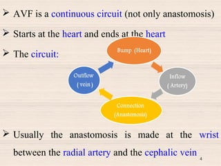 Avf Rupture Fistula (Arteriovenous fistula -AVF) | PPT