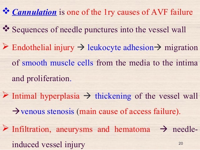 fistula arteriovenous fistula avf