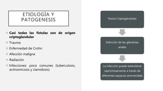 ETIOLOGÍA Y
PATOGENESIS Teoría Criptoglandular:
Infección de las glándulas
anales
La infección puede extenderse
caprichosamente a través de
diferentes espacios anorrectales
 Casi todas las fístulas son de origen
criptoglandular
 Trauma
 Enfermedad de Crohn
 Afección maligna
 Radiación
 Infecciones: poco comunes (tuberculosis,
actinomicosis y clamidosis)
 