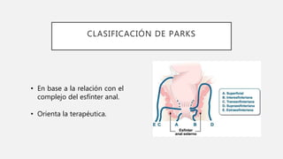 CLASIFICACIÓN DE PARKS
• En base a la relación con el
complejo del esfínter anal.
• Orienta la terapéutica.
 