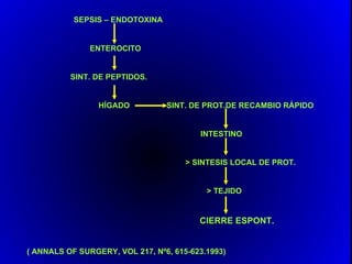 SEPSIS – ENDOTOXINA


               ENTEROCITO


          SINT. DE PEPTIDOS.


                 HÍGADO          SINT. DE PROT.DE RECAMBIO RÁPIDO


                                         INTESTINO


                                      > SINTESIS LOCAL DE PROT.


                                           > TEJIDO


                                         CIERRE ESPONT.


( ANNALS OF SURGERY, VOL 217, Nº6, 615-623.1993)
 