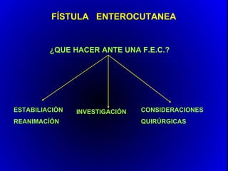 FÍSTULA ENTEROCUTANEA


         ¿QUE HACER ANTE UNA F.E.C.?




ESTABILIACIÓN   INVESTIGACIÓN   CONSIDERACIONES
REANIMACÍÓN                     QUIRÚRGICAS
 