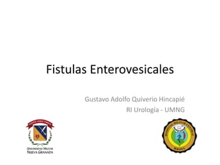 Fistulas Enterovesicales
Gustavo Adolfo Quiverio Hincapié
RI Urología - UMNG
 