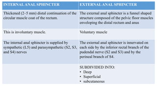 INTERNAL ANAL SPHINCTER EXTERNAL ANAL SPHINCTER
Thickened (2–5 mm) distal continuation of the
circular muscle coat of the rectum.
The external anal sphincter is a funnel shaped
structure composed of the pelvic floor muscles
enveloping the distal rectum and anus
This is involuntary muscle. Voluntary muscle
The internal anal sphincter is supplied by
sympathetic (L5) and parasympathetic (S2, S3,
and S4) nerves
The external anal sphincter is innervated on
each side by the inferior rectal branch of the
pudendal nerve (S2 and S3) and by the
perineal branch of S4.
SUBDIVIDED INTO:
• Deep
• Superficial
• subcutaneous
 