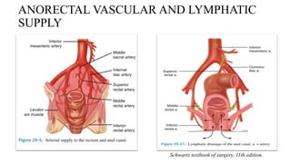 ANORECTAL VASCULAR AND LYMPHATIC
SUPPLY
Schwartz textbook of surgery, 11th edition.
 