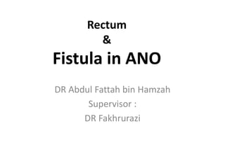 Rectum
&
Fistula in ANO
DR Abdul Fattah bin Hamzah
Supervisor :
DR Fakhrurazi
 