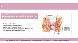 .
Pérez Morales, A. G. (s. f.). Nuevo Tratado de Cirugía General (1.a
ed., Vols. 1–2). Editorial El Manual Moderno.
En 1961 Parks infección de una glándula anal es la causa
del absceso y después de la formación de la fístula 30 y 35%
de los pacientes.
Relación del absceso
Interesfintérico - interesfintérica
Isquiorrectal - transesfintérica
Supraesfintérico - compleja (transesfintérica alta,
supraesfintérica y/o extraesfintérica)
 