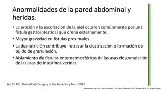 Anormalidades de la pared abdominal y
heridas.
• La erosión y la excoriación de la piel ocurren comúnmente por una
fístula gastrointestinal que drena externamente.
• Mayor gravedad en fistulas proximales.
• La desnutrición contribuye retrasar la cicatrización o formación de
tejido de granulación.
• Aislamiento de fistulas enteroatmosféricas de las asas de granulación
de las asas de intestinos vecinas.
Yeo CJ, MD. Shackelford’s Surgery of the Alimentary Tract. 2013.
Presentado por: Dra. Tania Gallardo, Dra. Paola Townsley, Dra. Celyvette Ruiz, Dr. Roger Vargas
 