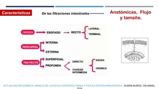 Características De las filtraciones intestinales Anatómicas, Flujo
y tamaño.
ACTUALIZACIÓN SOBRE EL MANEJO DE LA FÍSTULA ENTEROCUTÁNEA Y FÍSTULA ENTEROATMOSFÉRICA., DURÁN MUÑOZ. CIR ANDAL.
 