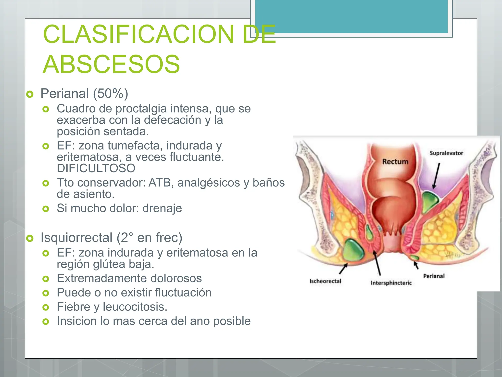 anatomia, abscesos y fistulas perianales | PPTX