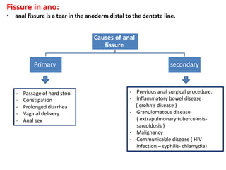 Fissure in ano:
• anal fissure is a tear in the anoderm distal to the dentate line.
Causes of anal
fissure
Primary secondary
- Passage of hard stool
- Constipation
- Prolonged diarrhea
- Vaginal delivery
- Anal sex
- Previous anal surgical procedure.
- Inflammatory bowel disease
( crohn’s disease )
- Granulomatous disease
( extrapulmonary tuberculosis-
sarcoidosis )
- Malignancy
- Communicable disease ( HIV
infection – syphilis- chlamydia)
 