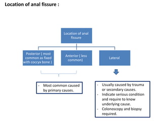 Location of anal fissure :
Location of anal
fissure
Posterior ( most
common as fixed
with coccyx bone )
Anterior ( less
common)
Lateral
- Most common caused
by primary causes.
- Usually caused by trauma
or secondary causes.
- Indicate serious condition
and require to know
underlying cause.
- Colonoscopy and biopsy
required.
 