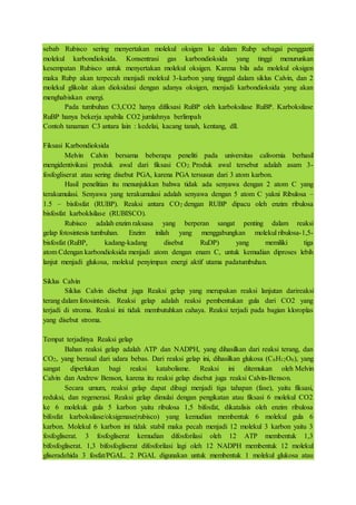 sebab Rubisco sering menyertakan molekul oksigen ke dalam Rubp sebagai pengganti
molekul karbondioksida. Konsentrasi gas karbondioksida yang tinggi menurunkan
kesempatan Rubisco untuk menyertakan molekul oksigen. Karena bila ada molekul oksigen
maka Rubp akan terpecah menjadi molekul 3-karbon yang tinggal dalam siklus Calvin, dan 2
molekul glikolat akan dioksidasi dengan adanya oksigen, menjadi karbondioksida yang akan
menghabiskan energi.
Pada tumbuhan C3,CO2 hanya difiksasi RuBP oleh karboksilase RuBP. Karboksilase
RuBP hanya bekerja apabila CO2 jumlahnya berlimpah
Contoh tanaman C3 antara lain : kedelai, kacang tanah, kentang, dll.
Fiksasi Karbondioksida
Melvin Calvin bersama beberapa peneliti pada universitas calivornia berhasil
mengidentivikasi produk awal dari fiksasi CO2. Produk awal tersebut adalah asam 3-
fosfogliserat atau sering disebut PGA, karena PGA tersusun dari 3 atom karbon.
Hasil penelitian itu menunjukkan bahwa tidak ada senyawa dengan 2 atom C yang
terakumulasi. Senyawa yang terakumulasi adalah senyawa dengan 5 atom C yakni Ribulosa –
1.5 – bisfosfat (RUBP). Reaksi antara CO2 dengan RUBP dipacu oleh enzim ribulosa
bisfosfat karboklsilase (RUBISCO).
Rubisco adalah enzim raksasa yang berperan sangat penting dalam reaksi
gelap fotosintesis tumbuhan. Enzim inilah yang menggabungkan molekul ribulosa-1,5-
bisfosfat (RuBP, kadang-kadang disebut RuDP) yang memiliki tiga
atom Cdengan karbondioksida menjadi atom dengan enam C, untuk kemudian diproses lebih
lanjut menjadi glukosa, molekul penyimpan energi aktif utama padatumbuhan.
Siklus Calvin
Siklus Calvin disebut juga Reaksi gelap yang merupakan reaksi lanjutan darireaksi
terang dalam fotosintesis. Reaksi gelap adalah reaksi pembentukan gula dari CO2 yang
terjadi di stroma. Reaksi ini tidak membutuhkan cahaya. Reaksi terjadi pada bagian kloroplas
yang disebut stroma.
Tempat terjadinya Reaksi gelap
Bahan reaksi gelap adalah ATP dan NADPH, yang dihasilkan dari reaksi terang, dan
CO2, yang berasal dari udara bebas. Dari reaksi gelap ini, dihasilkan glukosa (C6H12O6), yang
sangat diperlukan bagi reaksi katabolisme. Reaksi ini ditemukan oleh Melvin
Calvin dan Andrew Benson, karena itu reaksi gelap disebut juga reaksi Calvin-Benson.
Secara umum, reaksi gelap dapat dibagi menjadi tiga tahapan (fase), yaitu fiksasi,
reduksi, dan regenerasi. Reaksi gelap dimulai dengan pengikatan atau fiksasi 6 molekul CO2
ke 6 molekuk gula 5 karbon yaitu ribulosa 1,5 bifosfat, dikatalisis oleh enzim ribulosa
bifosfat karboksilase/oksigenase(rubisco) yang kemudian membentuk 6 molekul gula 6
karbon. Molekul 6 karbon ini tidak stabil maka pecah menjadi 12 molekul 3 karbon yaitu 3
fosfogliserat. 3 fosfogliserat kemudian difosforilasi oleh 12 ATP membentuk 1,3
bifosfogliserat. 1,3 bifosfogliserat difosforilasi lagi oleh 12 NADPH membentuk 12 molekul
gliseradehida 3 fosfat/PGAL. 2 PGAL digunakan untuk membentuk 1 molekul glukosa atau
 