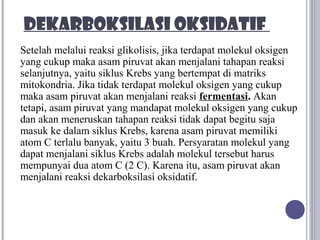 DEKARBOKSILASI OKSIDATIF
Setelah melalui reaksi glikolisis, jika terdapat molekul oksigen
yang cukup maka asam piruvat akan menjalani tahapan reaksi
selanjutnya, yaitu siklus Krebs yang bertempat di matriks
mitokondria. Jika tidak terdapat molekul oksigen yang cukup
maka asam piruvat akan menjalani reaksi fermentasi. Akan
tetapi, asam piruvat yang mandapat molekul oksigen yang cukup
dan akan meneruskan tahapan reaksi tidak dapat begitu saja
masuk ke dalam siklus Krebs, karena asam piruvat memiliki
atom C terlalu banyak, yaitu 3 buah. Persyaratan molekul yang
dapat menjalani siklus Krebs adalah molekul tersebut harus
mempunyai dua atom C (2 C). Karena itu, asam piruvat akan
menjalani reaksi dekarboksilasi oksidatif.
 