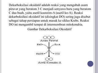 Dekarboksilasi oksidatif adalah reaksi yang mengubah asam
piruvat yang beratom 3 C menjadi senyawa baru yang beratom
C dua buah, yaitu asetil koenzim-A (asetil ko-A). Reaksi
dekarboksilasi oksidatif ini (disingkat DO) sering juga disebut
sebagai tahap persiapan untuk masuk ke siklus Krebs. Reaksi
DO ini mengambil tempat di intermembran mitokondria.
              Gambar Dekarboksilasi Oksidatif
 