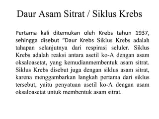 Daur Asam Sitrat / Siklus Krebs
Pertama kali ditemukan oleh Krebs tahun 1937,
sehingga disebut “Daur Krebs Siklus Krebs adalah
tahapan selanjutnya dari respirasi seluler. Siklus
Krebs adalah reaksi antara asetil ko-A dengan asam
oksaloasetat, yang kemudianmembentuk asam sitrat.
Siklus Krebs disebut juga dengan siklus asam sitrat,
karena menggambarkan langkah pertama dari siklus
tersebut, yaitu penyatuan asetil ko-A dengan asam
oksaloasetat untuk membentuk asam sitrat.
 