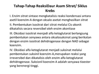 Tahap-Tahap ReaksiDaur Asam Sitrat/ Siklus
                    Krebs
I. Enzim sitrat sintase mengkatalisis reaksi kondensasi antara
asetil koenzim-A dengan oksalo asetat menghasilkan sitrat
II. Pembentukan isositrat dari sitrat melalui Cis-akonit
dikatalisis secara reversibel oleh enzim akonitase
III. Oksidasi isositrat menjadi alfa ketoglutarat berlangsung
pembentukan senyawa antara oksalosuksinat yang berikatan
dengan enzim isositrat dehidrogenase dengan NAD sebagai
koenzim.
IV. Oksidasi alfa ketoglutarat menjadi suksinat melalui
pembentukan suksinil koenzim-A,merupakan reaksi yang
irreversibel dan dikatalisis oleh enzim alfa ketoglutarat
dehidrogenase. Suksisnil koenzim A adalah senyawa tioester
yang berenergi tinggi.
 