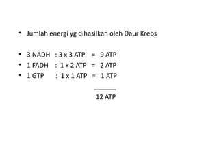 • Jumlah energi yg dihasilkan oleh Daur Krebs

• 3 NADH : 3 x 3 ATP = 9 ATP
• 1 FADH : 1 x 2 ATP = 2 ATP
• 1 GTP  : 1 x 1 ATP = 1 ATP
                      ______
                      12 ATP
 