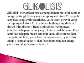 Glikolisis merupakan proses pengubahan molekul sumber
energi, yaitu glukosa yang mempunyai 6 atom C manjadi
senyawa yang lebih sederhana, yaitu asam piruvat yang
mempunyai 3 atom C. Reaksi ini berlangsung di dalam
sitosol (sitoplasma). Reaksi glikolisis mempunyai
sembilan tahapan reaksi yang dikatalisis oleh enzim.Dari
sembilan tahapan reaksi tersebut dapat dikelompokkan
menjadi dua fase, yaitu fase investasi energi, yaitu dari
tahap 1 sampai tahap 4, dan fase pembelanjaan energi,
yaitu dari tahap 5 sampai tahap 9.
 