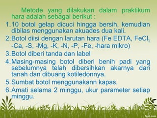 Metode yang dilakukan dalam praktikum
hara adalah sebagai berikut :
1.10 botol gelap dicuci hingga bersih, kemudian
dibilas menggunakan akuades dua kali.
2.Botol diisi dengan larutan hara (Fe EDTA, FeCl3,
-Ca, -S, -Mg, -K, -N, -P, -Fe, -hara mikro)
3.Botol diberi tanda dan label
4.Masing-masing botol diberi benih padi yang
sebelumnya telah dibersihkan akarnya dari
tanah dan dibuang kotiledonnya.
5.Sumbat botol menggunakann kapas.
6.Amati selama 2 minggu, ukur parameter setiap
minggu.
 