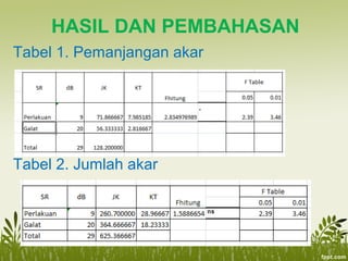 HASIL DAN PEMBAHASAN
Tabel 1. Pemanjangan akar
Tabel 2. Jumlah akar
 