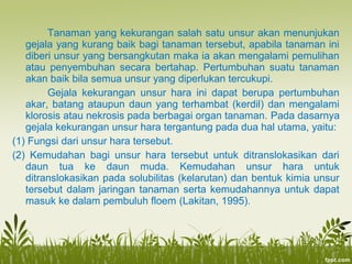 Tanaman yang kekurangan salah satu unsur akan menunjukan
gejala yang kurang baik bagi tanaman tersebut, apabila tanaman ini
diberi unsur yang bersangkutan maka ia akan mengalami pemulihan
atau penyembuhan secara bertahap. Pertumbuhan suatu tanaman
akan baik bila semua unsur yang diperlukan tercukupi.
Gejala kekurangan unsur hara ini dapat berupa pertumbuhan
akar, batang ataupun daun yang terhambat (kerdil) dan mengalami
klorosis atau nekrosis pada berbagai organ tanaman. Pada dasarnya
gejala kekurangan unsur hara tergantung pada dua hal utama, yaitu:
(1) Fungsi dari unsur hara tersebut.
(2) Kemudahan bagi unsur hara tersebut untuk ditranslokasikan dari
daun tua ke daun muda. Kemudahan unsur hara untuk
ditranslokasikan pada solubilitas (kelarutan) dan bentuk kimia unsur
tersebut dalam jaringan tanaman serta kemudahannya untuk dapat
masuk ke dalam pembuluh floem (Lakitan, 1995).
 
