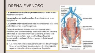 DRENAJEVENOSO
Las venas hemorroidales superiores desembocan en la vena
mesentérica inferior.
Las venas hemorroidales medias desembocan en la vena
hipogástrica.
Las venas hemorroidales inferiores desembocando en la vena
pudenda interna y vena hipogástrica.
Entre estos sistemas venosos existen comunicaciones.
Podemos pues dividir el drenaje venoso rectal en dos sistemas
diferentes: el sistema hemorroidal superior que drena en el
sistema venoso portal; y otro constituido por la venas
hemorroidales medias e inferiores que son tributarlas del
sistema cava.
■ Las venas hemorroidales superiores carecen de válvulas por
lo que un aumento de la presión a nivel del sistema portal
repercutirá en ellas debido al gradiente de presión.
 