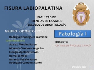 FACULTAD DE
CIENCIAS DE LA SALUD
ESCUELA DE ODONTOLOGÍA

Rodríguez Rodríguez Yasminne
(Coordinadora)
• Suarez Morales Karen
• Moncada Sandoval Angelica
• Eulogio Apoloni Herwin
• Bernal Li Milei
• Miranda Vasallo Karen
Rodríguez Camones Dante
•

DOCENTE:
CD. KAREN ÁNGELES GARCÍA

Chimbote 2013

1

 