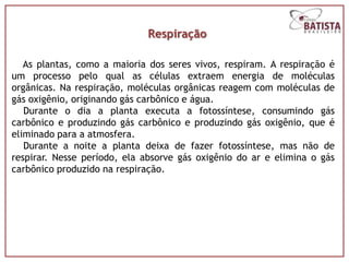 Respiração

   As plantas, como a maioria dos seres vivos, respiram. A respiração é
um processo pelo qual as células extraem energia de moléculas
orgânicas. Na respiração, moléculas orgânicas reagem com moléculas de
gás oxigênio, originando gás carbônico e água.
   Durante o dia a planta executa a fotossíntese, consumindo gás
carbônico e produzindo gás carbônico e produzindo gás oxigênio, que é
eliminado para a atmosfera.
   Durante a noite a planta deixa de fazer fotossíntese, mas não de
respirar. Nesse período, ela absorve gás oxigênio do ar e elimina o gás
carbônico produzido na respiração.
 