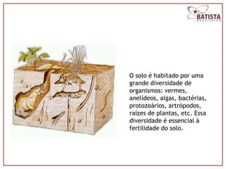 O solo é habitado por uma
grande diversidade de
organismos: vermes,
anelídeos, algas, bactérias,
protozoários, artrópodos,
raízes de plantas, etc. Essa
diversidade é essencial à
fertilidade do solo.
 