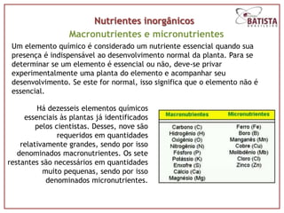 Nutrientes inorgânicos
                  Macronutrientes e micronutrientes
 Um elemento químico é considerado um nutriente essencial quando sua
 presença é indispensável ao desenvolvimento normal da planta. Para se
 determinar se um elemento é essencial ou não, deve-se privar
 experimentalmente uma planta do elemento e acompanhar seu
 desenvolvimento. Se este for normal, isso significa que o elemento não é
 essencial.

         Há dezesseis elementos químicos
     essenciais às plantas já identificados
         pelos cientistas. Desses, nove são
                requeridos em quantidades
    relativamente grandes, sendo por isso
   denominados macronutrientes. Os sete
restantes são necessários em quantidades
           muito pequenas, sendo por isso
            denominados micronutrientes.
 