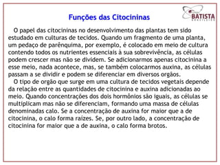 Funções das Citocininas
  O papel das citocininas no desenvolvimento das plantas tem sido
estudado em culturas de tecidos. Quando um fragmento de uma planta,
um pedaço de parênquima, por exemplo, é colocado em meio de cultura
contendo todos os nutrientes essenciais à sua sobrevivência, as células
podem crescer mas não se dividem. Se adicionarmos apenas citocinina a
esse meio, nada acontece, mas, se também colocarmos auxina, as células
passam a se dividir e podem se diferenciar em diversos orgãos.
  O tipo de orgão que surge em uma cultura de tecidos vegetais depende
da relação entre as quantidades de citocinina e auxina adicionadas ao
meio. Quando concentrações dos dois hormônios são iguais, as células se
multiplicam mas não se diferenciam, formando uma massa de células
denominadas calo. Se a concentração de auxina for maior que a de
citocinina, o calo forma raízes. Se, por outro lado, a concentração de
citocinina for maior que a de auxina, o calo forma brotos.
 