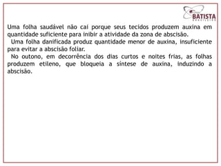 Uma folha saudável não cai porque seus tecidos produzem auxina em
quantidade suficiente para inibir a atividade da zona de abscisão.
 Uma folha danificada produz quantidade menor de auxina, insuficiente
para evitar a abscisão foliar.
 No outono, em decorrência dos dias curtos e noites frias, as folhas
produzem etileno, que bloqueia a síntese de auxina, induzindo a
abscisão.
 