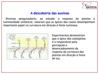 A descoberta das auxinas
  Diversos pesquisadores, ao estudar a resposta de plantas à
luminosidade unilateral, notaram que os ápices dos caules desempenham
importante papel na curvatura em direção à fonte luminosa.


                                    Experimentos demonstram
                                    que o ápice dos coleóptilos
                                    é o responsável pela
                                    percepção e
                                    desencadeamento da
                                    resposta da curvatura das
                                    plantas em direção à fonte
                                    de luz.
 