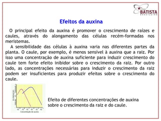 Efeitos da auxina
  O principal efeito da auxina é promover o crescimento de raízes e
caules, através do alongamento das células recém-formadas nos
meristemas.
   A sensibilidade das células à auxina varia nas diferentes partes da
planta. O caule, por exemplo, é menos sensível à auxina que a raiz. Por
isso uma concentração de auxina suficiente para induzir crescimento do
caule tem forte efeito inibidor sobre o crescimento da raiz. Por outro
lado, as concentrações necessárias para induzir o crescimento da raiz
podem ser insuficientes para produzir efeitos sobre o crescimento do
caule.



                    Efeito de diferentes concentrações de auxina
                    sobre o crescimento da raiz e do caule.
 