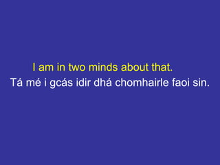 I am in two minds about that.
Tá mé i gcás idir dhá chomhairle faoi sin.
 