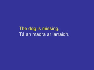 The dog is missing.
Tá an madra ar iarraidh.
 