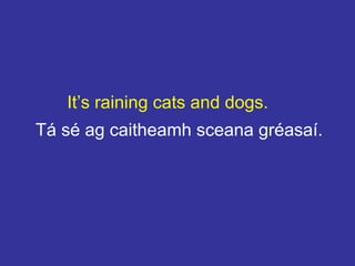 It’s raining cats and dogs.
Tá sé ag caitheamh sceana gréasaí.
 