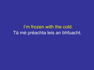 I’m frozen with the cold.
Tá mé préachta leis an bhfuacht.
 