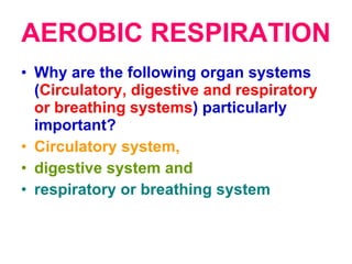 AEROBIC RESPIRATION <ul><li>Why are the following organ systems ( Circulatory, digestive and respiratory or breathing syst...